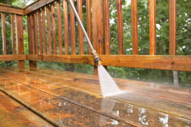 Best Driveway Pressure Washing  in Hamlin, WV